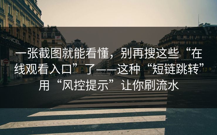 一张截图就能看懂，别再搜这些“在线观看入口”了——这种“短链跳转”用“风控提示”让你刷流水
