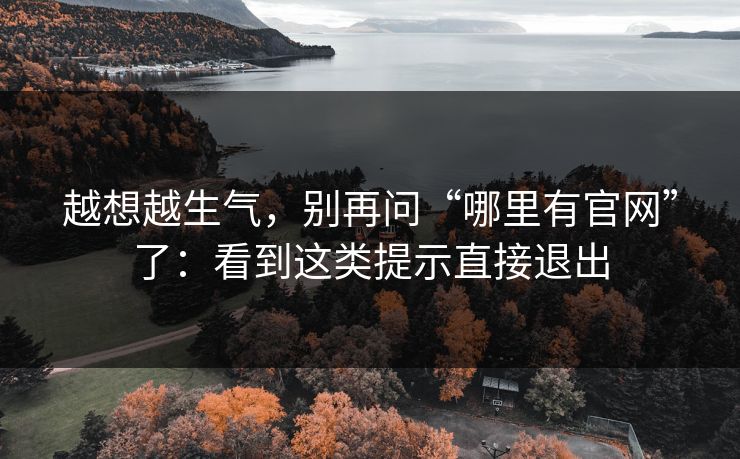 越想越生气，别再问“哪里有官网”了：看到这类提示直接退出