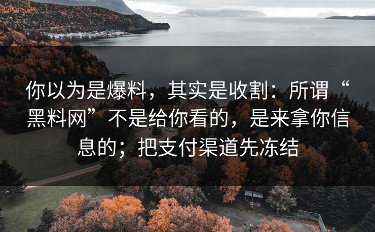 你以为是爆料，其实是收割：所谓“<strong>黑料网</strong>”不是给你看的，是来拿你信息的；把支付渠道先冻结