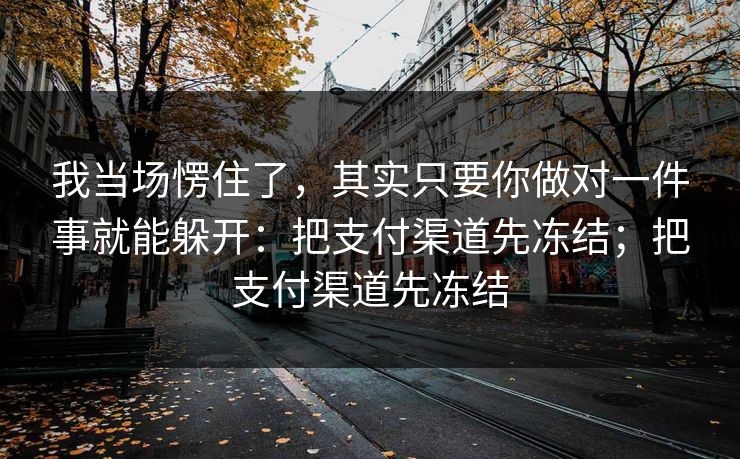 我当场愣住了，其实只要你做对一件事就能躲开：把支付渠道先冻结；把支付渠道先冻结