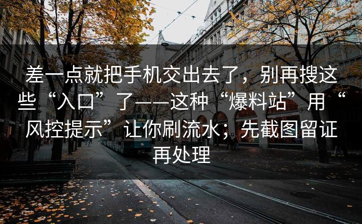 差一点就把手机交出去了，别再搜这些“入口”了——这种“爆料站”用“风控提示”让你刷流水；先截图留证再处理