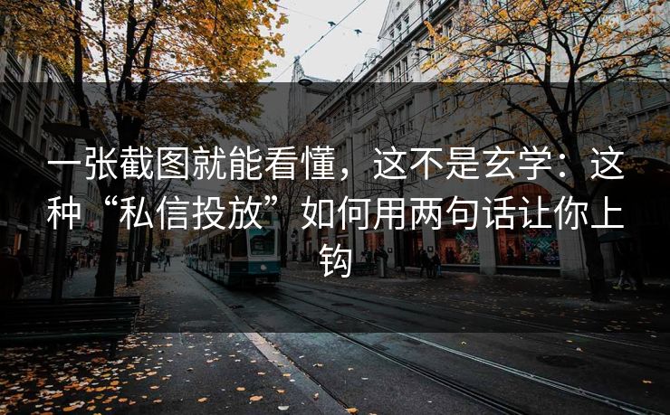 一张截图就能看懂，这不是玄学：这种“私信投放”如何用两句话让你上钩