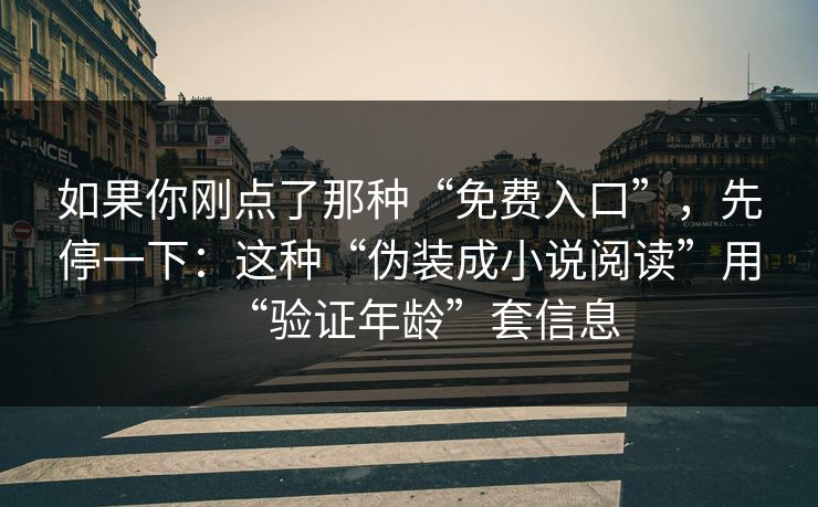 如果你刚点了那种“免费入口”，先停一下：这种“伪装成小说阅读”用“验证年龄”套信息