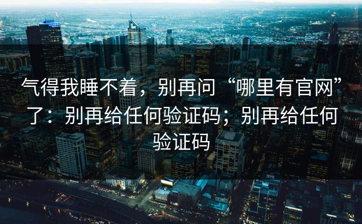 气得我睡不着，别再问“哪里有官网”了：别再给任何验证码；别再给任何验证码