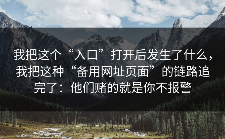 我把这个“入口”打开后发生了什么，我把这种“备用网址页面”的链路追完了：他们赌的就是你不报警