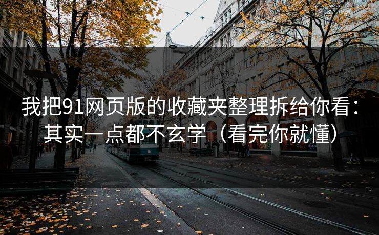 我把91网页版的收藏夹整理拆给你看：其实一点都不玄学（看完你就懂）
